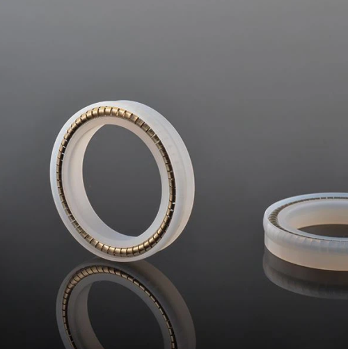 DSP Customized PTFE Seals